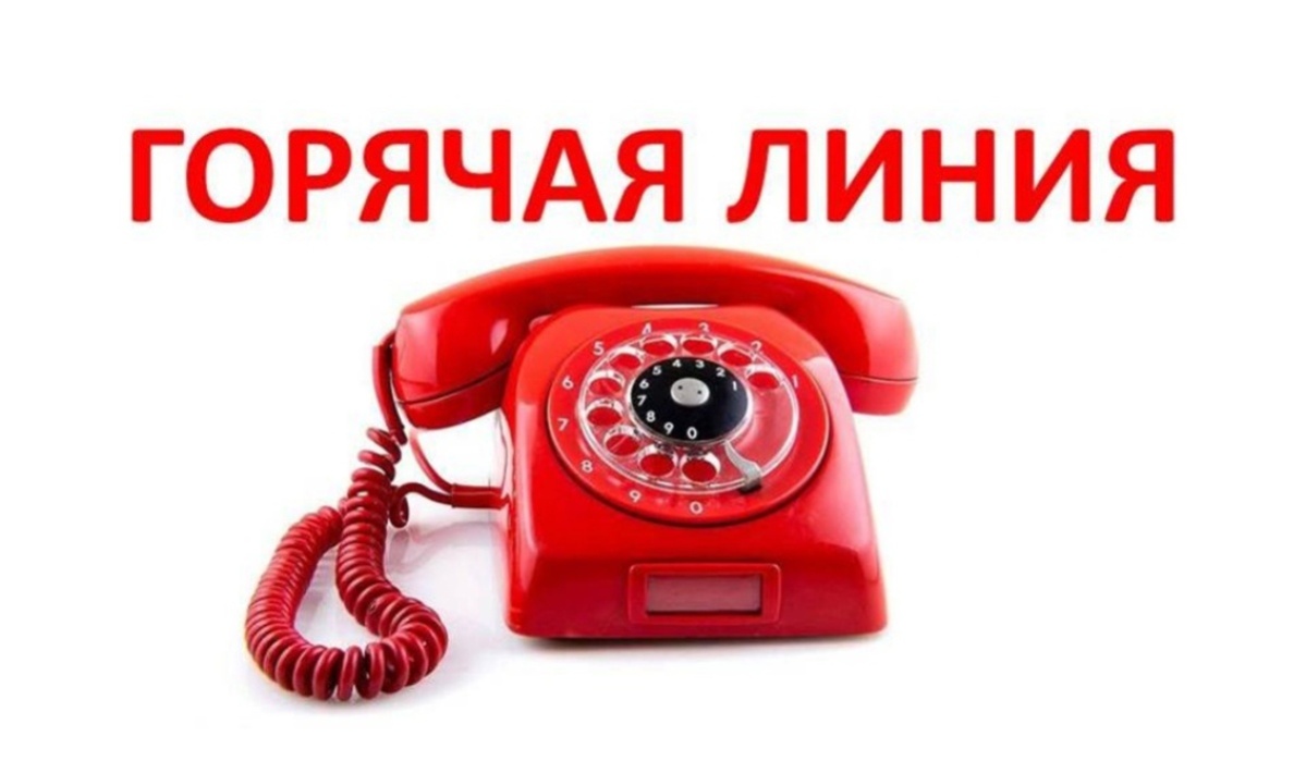 В прокуратуре организовано проведение горячей линии по вопросам благоустройства.